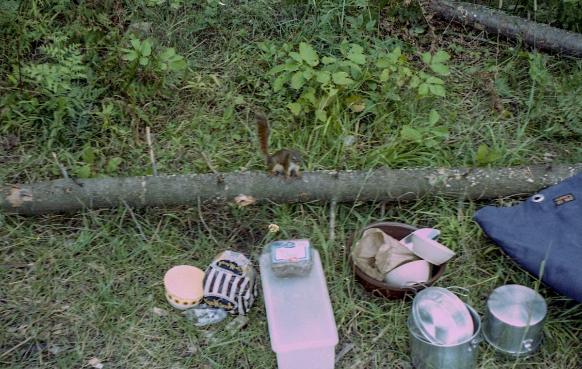 --1980 - Algonquin Park