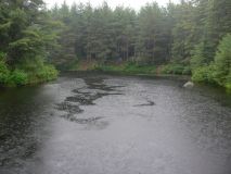 --2008 -  Pog Lake