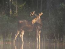 --2010 - Canisbay Lake