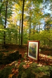 Autumn Fall