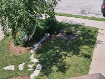 --2021 Garden view from a second story window