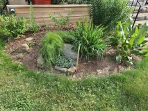 --2021 Garden view