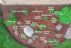 --2018 Garden view (spring)