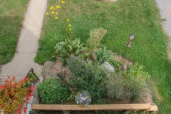 --2018 Garden view (autumn)