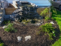 --2019 Garden view, spring