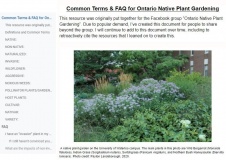 --Common Terms and FAQ