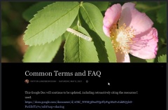 --Common Terms and FAQ