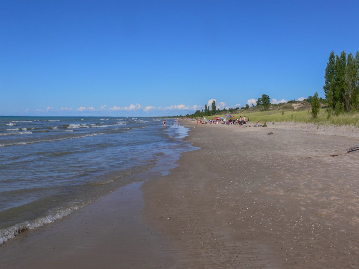 In the Pinery Newmaker Notes